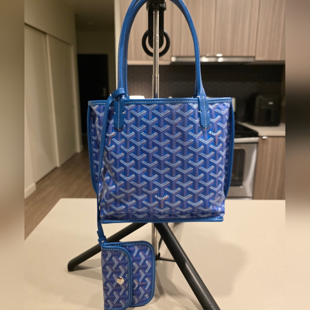 Goyard mini anjou (With receipt)